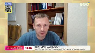 Директор заповедника "Аскания-Нова" Виктор Шаповал рассказал, как там сейчас выживают животные