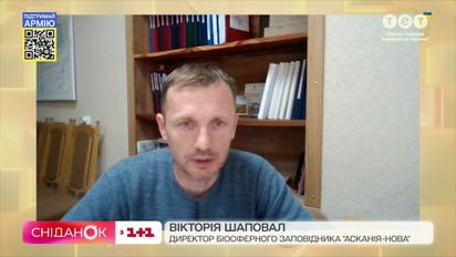 Директор заповедника "Аскания-Нова" Виктор Шаповал рассказал, как там сейчас выживают животные