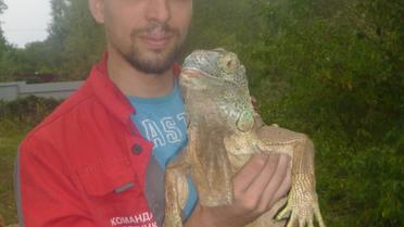Игуана питалась овощами в огороде жительницы Киевщины / © Kyiv Animal Rescue Group/Facebook