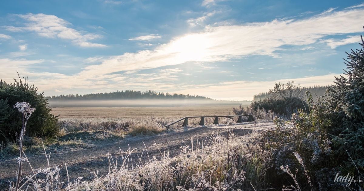 Гороскоп на 29 листопада