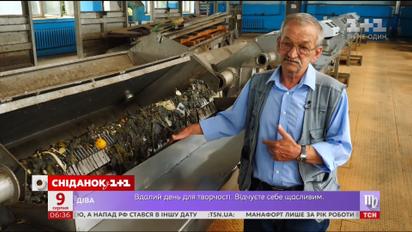 Что киевляне выбрасывают в унитазы и чем это грозит