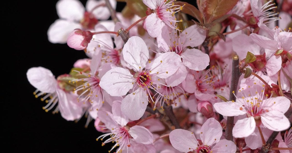 Який сьогодні, 24 квітня, день ангела