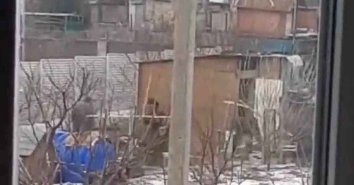 У Мережі показали, як "друга армія світу" з палицями краде курей у подвір'ях українців (відео)