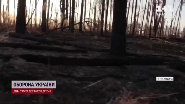 Сереблянский лес, где продолжаются тяжелые бои