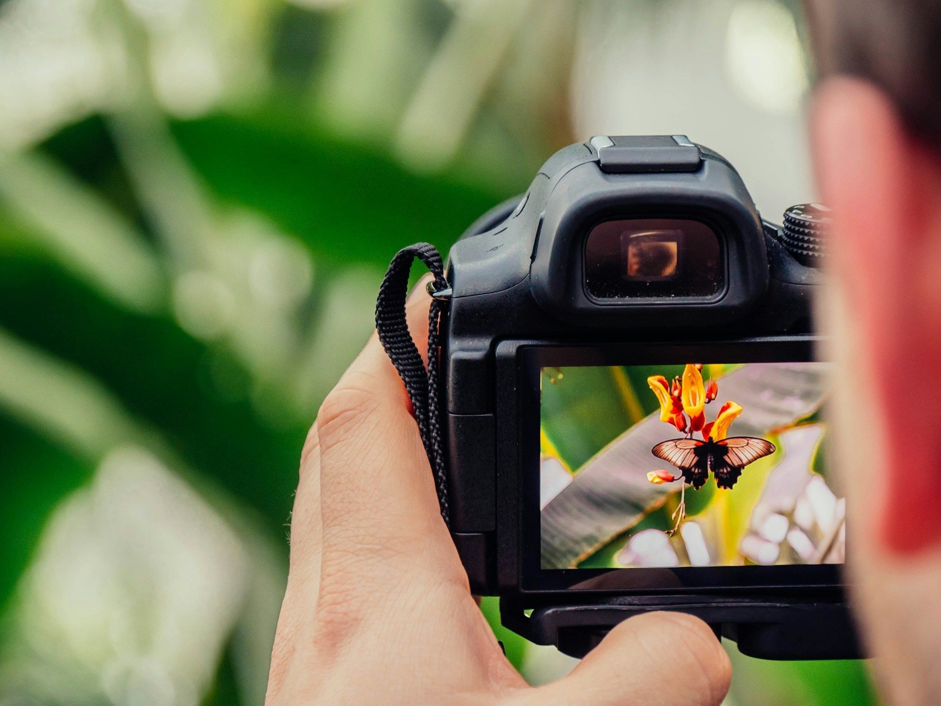 19 серпня святкують Всесвітній день фотографії / © Unsplash