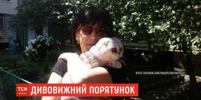 Рятувальники знайшли кішку, яка провела два тижні під завалами будинку на Позняках