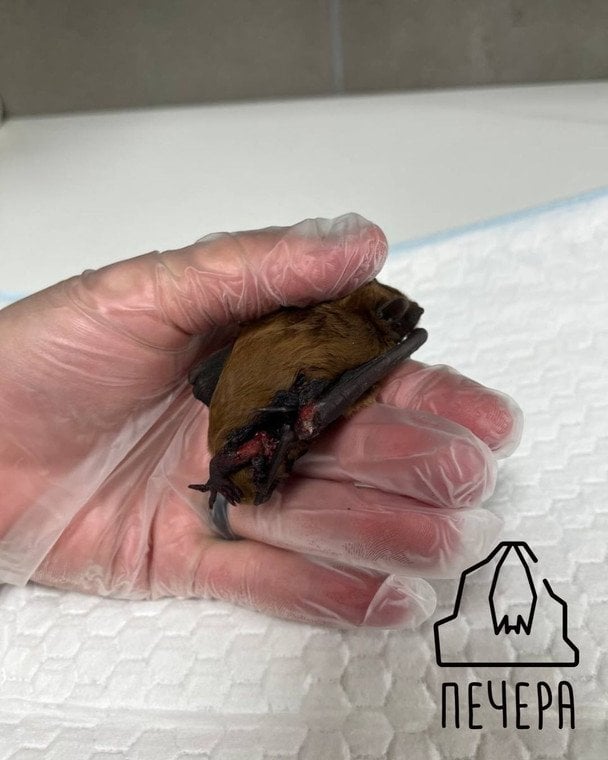  / © Інстаграм