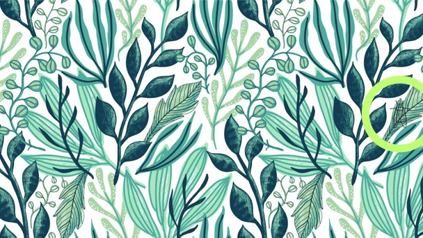 Тест Фото Абмеєрвуд