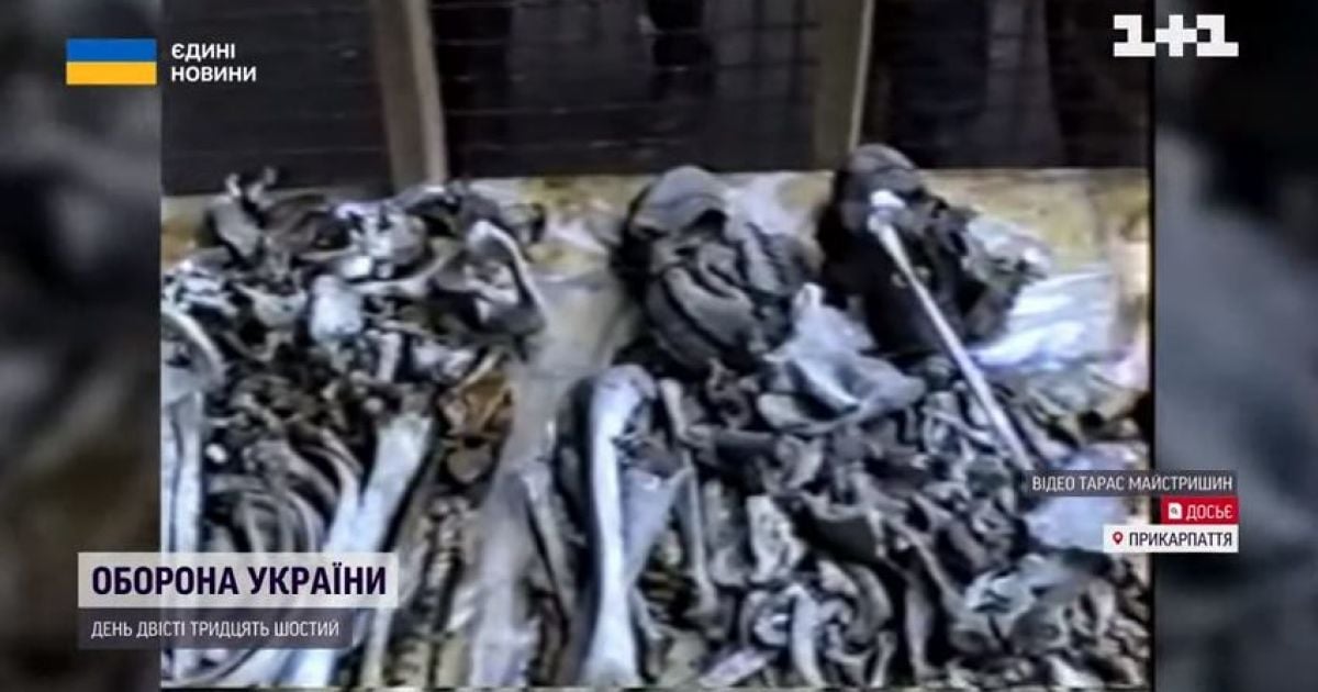 Цвяхи в хребтах і катування вогнем: яблунівські криниці смерті заповнені тілами жертв прадідів сучасних рашистів