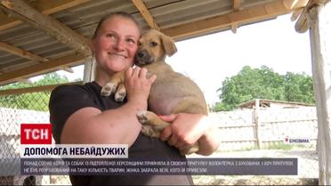 Прийняла понад 100 кішок і собак: волонтерка рятує тварин з підтопленої Херсонщини