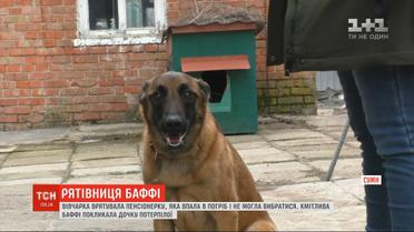 Смышленая Баффи: в Сумах овчарка спасла пенсионерку, которая упала в погреб