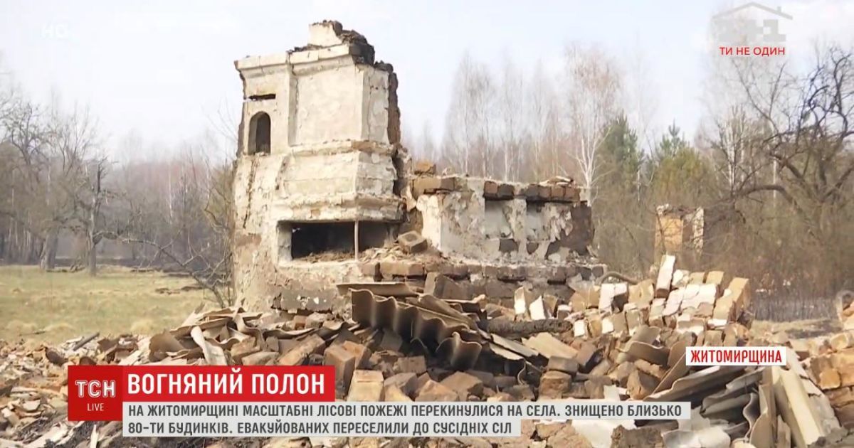"Больше ничего нет”: в Житомирской области лесные пожары уничтожили 80 домов в нескольких селах