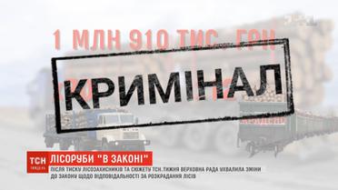ВРУ прийняла зміни до закону щодо відповідальності за розкрадання лісів  