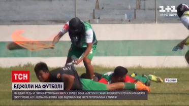 Новини світу: агресивні бджоли ледь не зірвали футбольний матч у Болівії