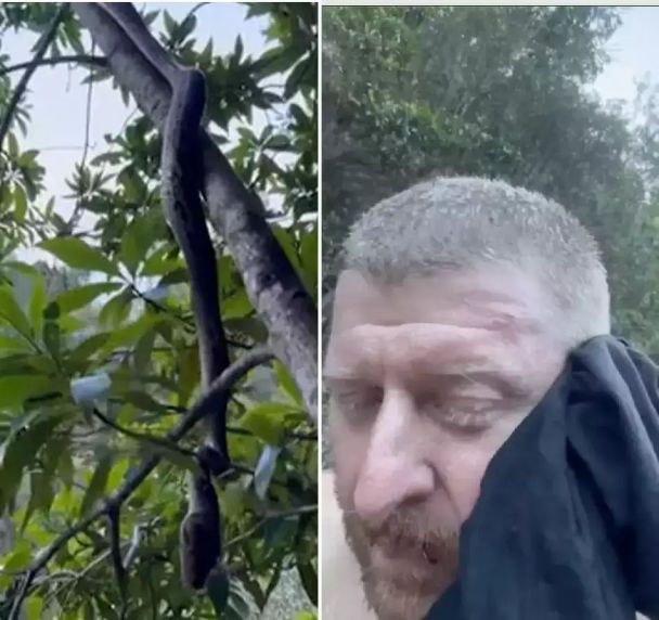  / © скриншот з відео