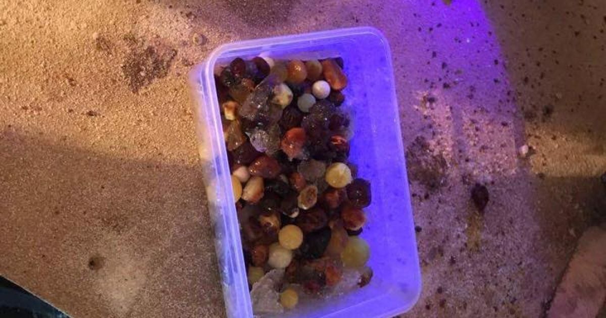 Підпільний цех з обробки бурштину_3 / © facebook.com/Лариса Сарган