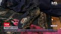 Новости Украины: в Черниговской области в пожаре погиб трехлетний мальчик