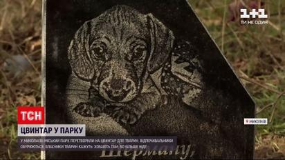 Новости Украины: в Николаеве городской парк превратился в кладбище для животных