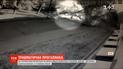 В центре Киева на женщину упало огромное дерево
