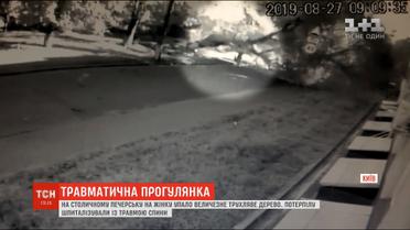 В центре Киева на женщину упало огромное дерево