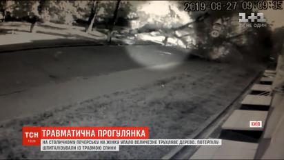 В центре Киева на женщину упало огромное дерево