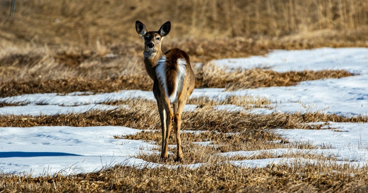 Погода в Украине готовит "сюрпризы"