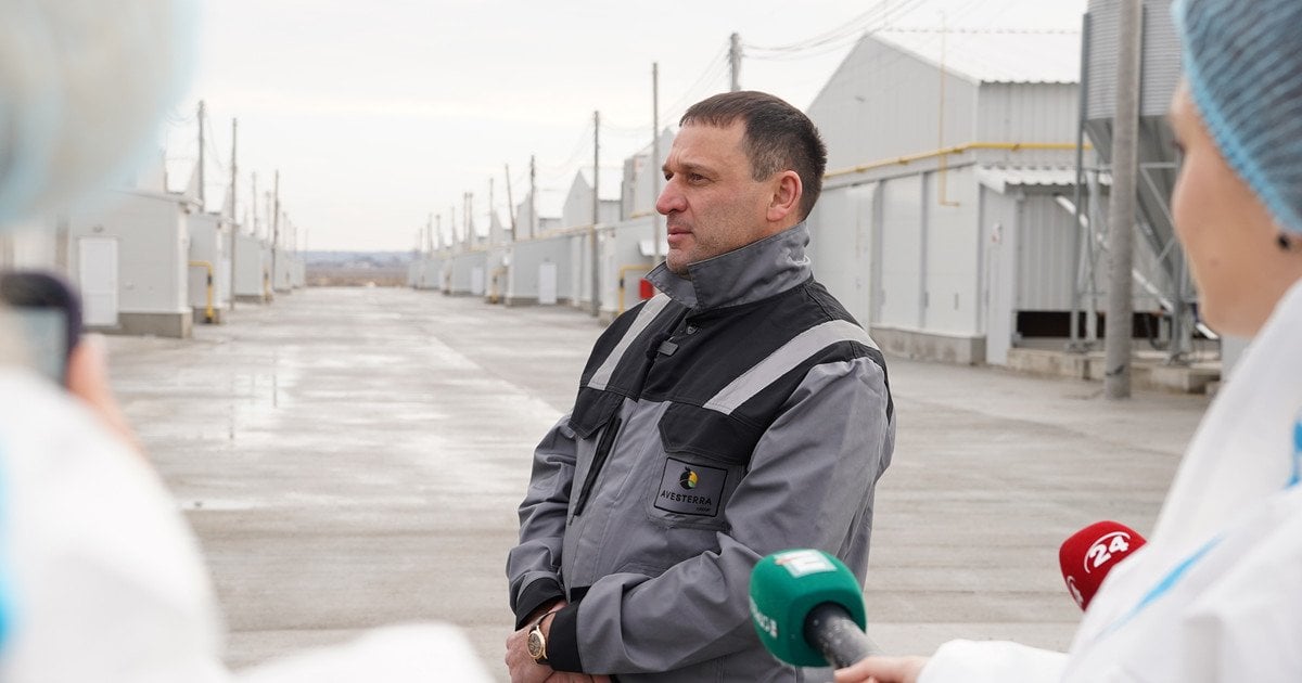 Avesterra Group відкрила 20 нових пташників на Волині: 15 млн євро інвестицій у масштабування виробництва