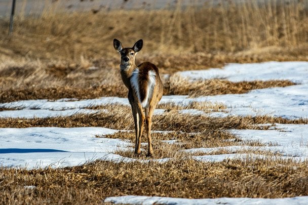 Народні прикмети 8 березня / © unsplash.com