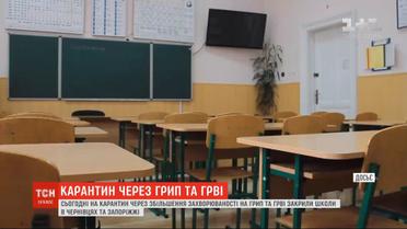 Из-за увеличения заболеваемости гриппом и ОРВИ закрыли школы в Черновцах и Запорожье