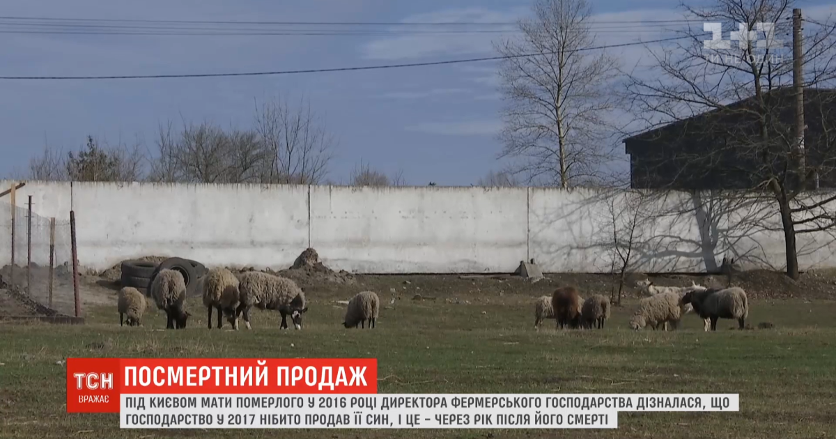 Скріншот із відео