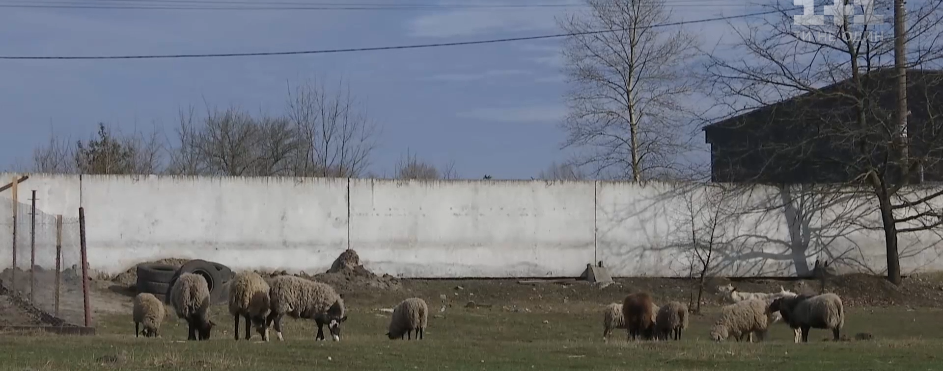 У Київській області у шахрайський спосіб продали земельну ділянку покійного чоловіка
