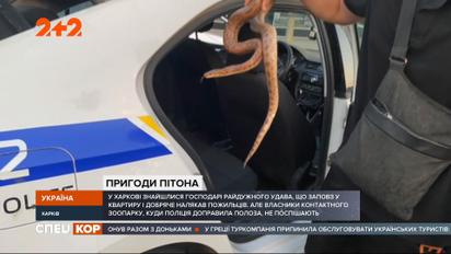 Приключения харьковского удава Генри: как домашнее животное оказалось в зоопарке