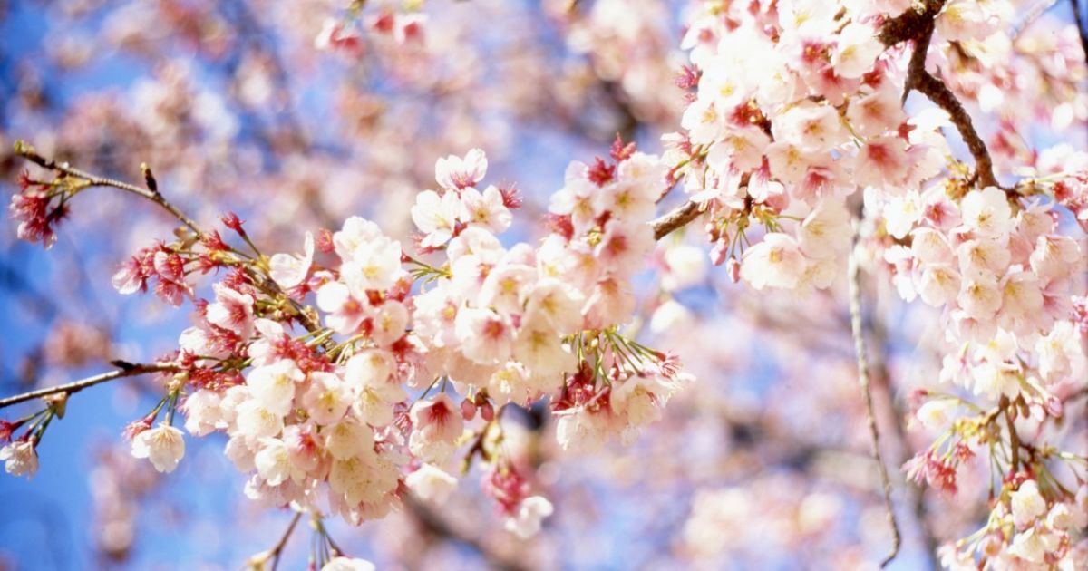 Зміни для українців у квітні