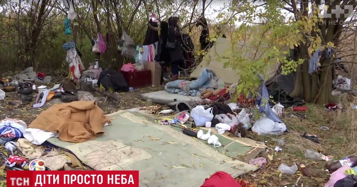 Одеситка два тижні прожила з малюками в полі під відкритим небом у компанії безхатьків