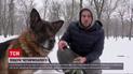 Испугались взрывов и убежали! В Харькове после обстрелов люди искали своих животных