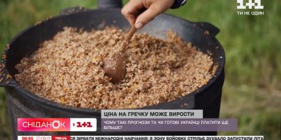 Цены на гречку могут вырасти: почему и готовы ли украинцы платить больше