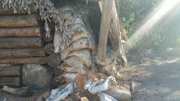 обстріл Майорськ_1 / © Госпогранслужба Украины