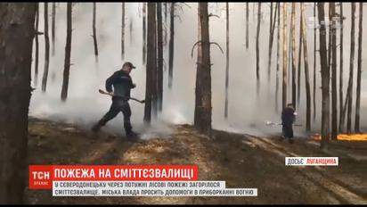 В Северодонецке из-за мощных лесных пожаров загорелась свалка мусора