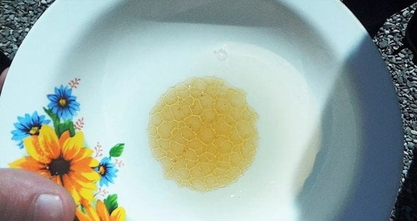 Так виглядає справжній мед після перевірки водою