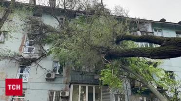 Страшна негода! Дерева падали! Дахи літали!