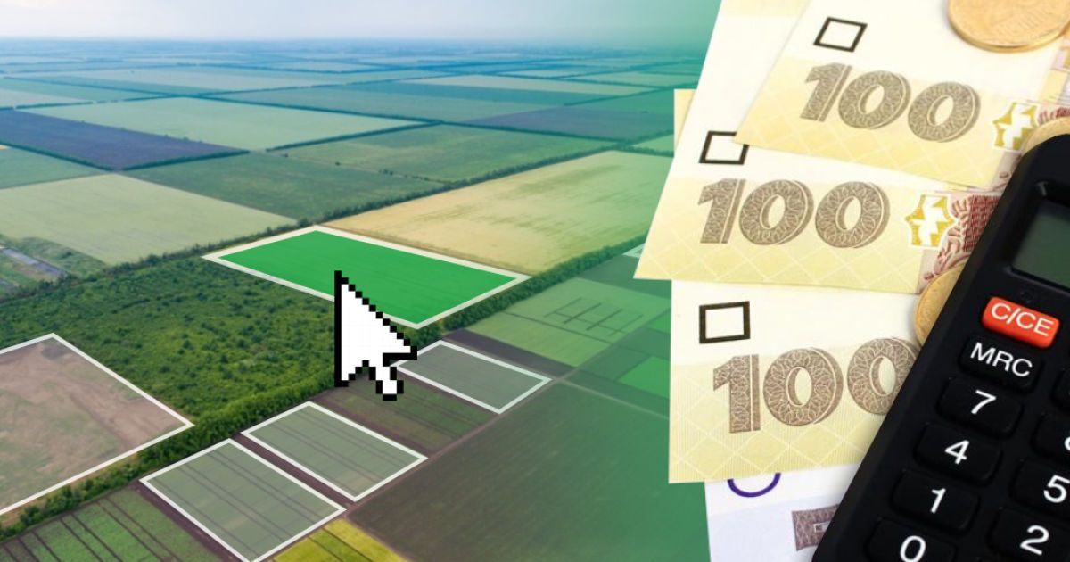 Купипи чи здати в оренду: "Дія.Бізнес" запустив розділ про землю