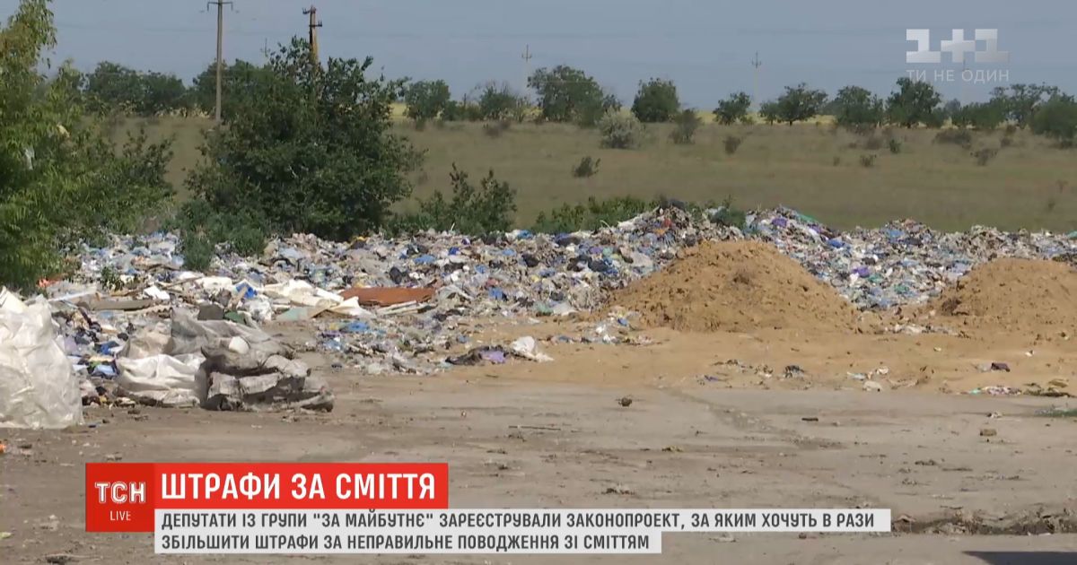 Депутаты хотят в десять раз увеличить штрафы за неправильное обращение с мусором