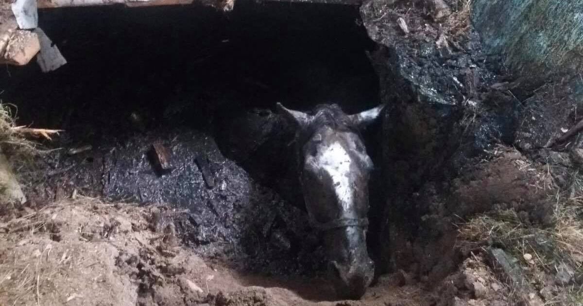ГСЧС во Львовской области