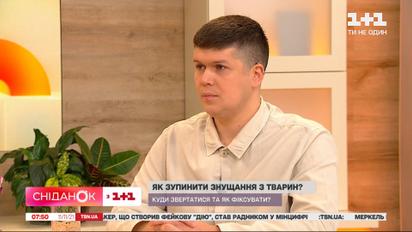 В Україні змінилось законодавство, яке стосується тварин: що варто знати власникам