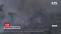 Неистовое пламя в Австралии выжгло 70 домов
