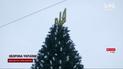 На Софийской площади в Киеве начали устанавливать центральную елку страны