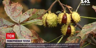 Погода в Украине: синоптики прогнозируют возвращением бабьего лета с дождями