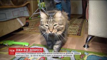 Осенняя депрессия - как ее побороть и перейти в новый график