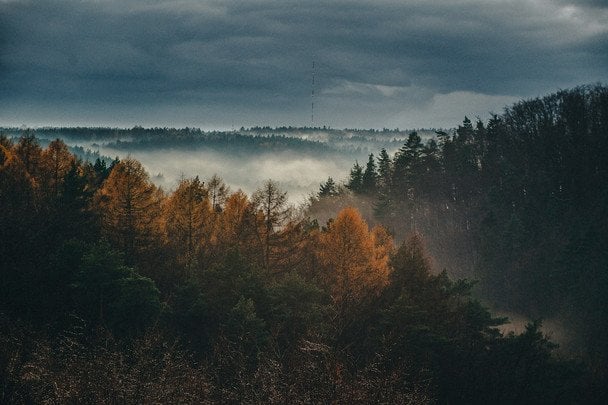 9 вересня вранці туман — чекайте на вологу осінь і великий урожай наступного року / © unsplash.com
