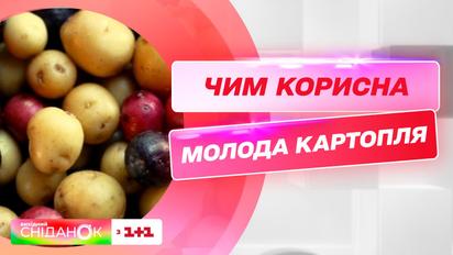 Можно ли картофелем омолодить организм и какие полезные свойства он имеет